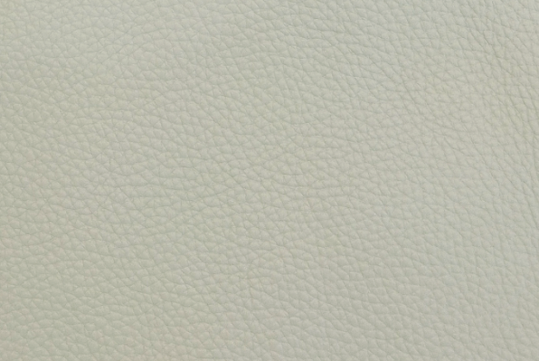 N809-Moonlight White